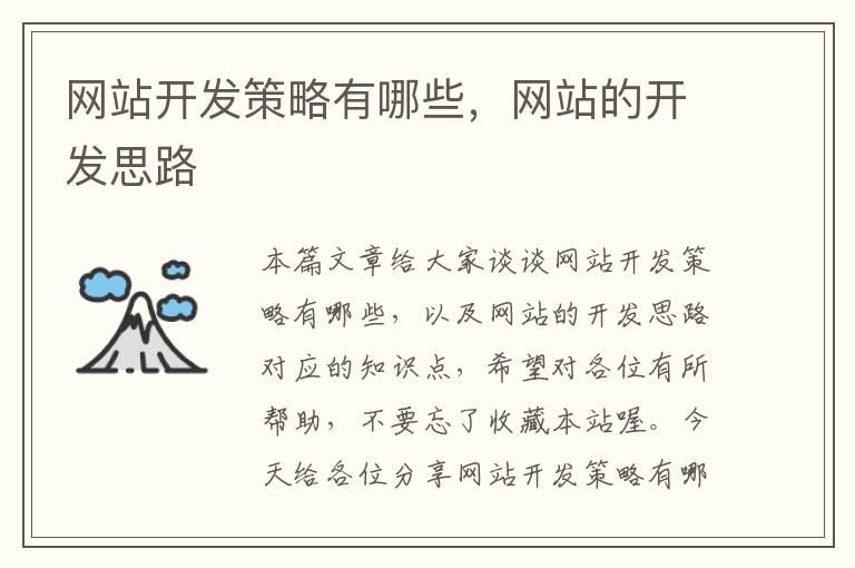 网站开发策略有哪些,网站的开发思路