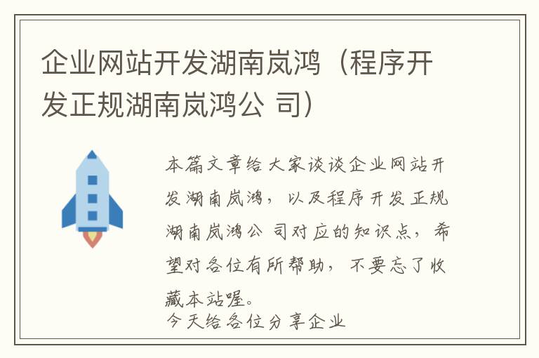 企业网站开发湖南岚鸿(程序开发正规湖南岚鸿公 司)