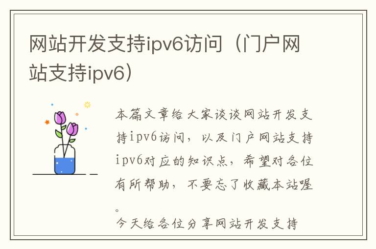 网站开发支持ipv6访问(门户网站支持ipv6)