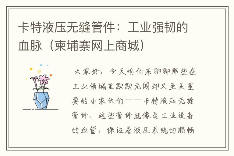 卡特液压无缝管件:工业强韧的血脉(柬埔寨网上商城)