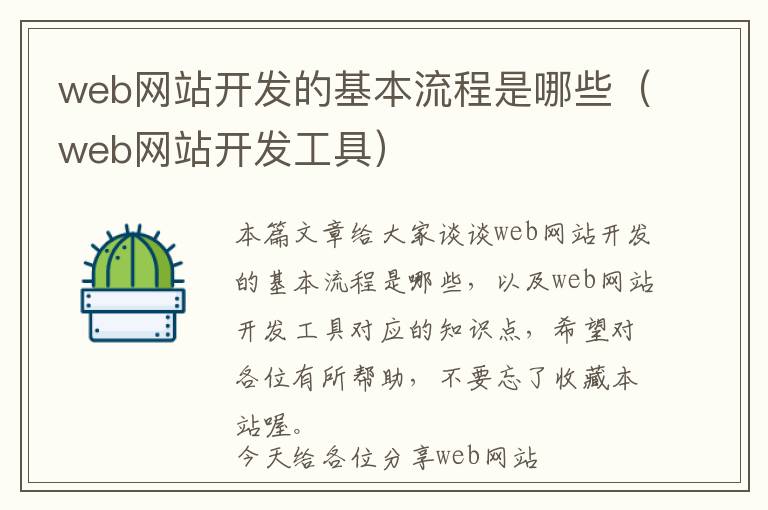 web网站开发的基本流程是哪些(web网站开发工具)