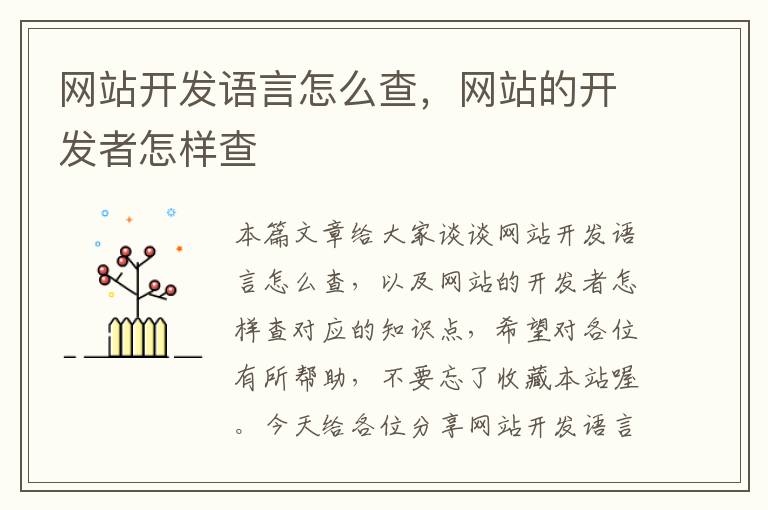 网站开发语言怎么查,网站的开发者怎样查