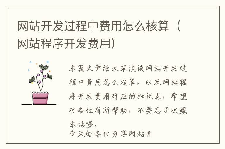网站开发过程中费用怎么核算(网站程序开发费用)