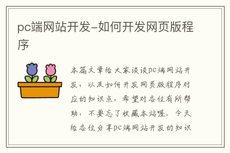 pc端网站开发-如何开发网页版程序