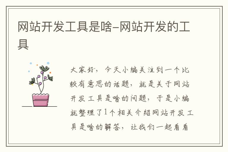 网站开发工具是啥-网站开发的工具