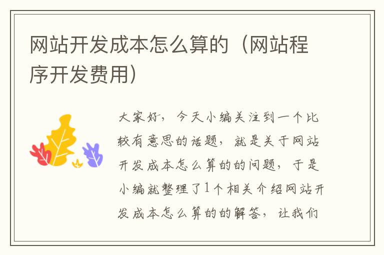 网站开发成本怎么算的(网站程序开发费用)