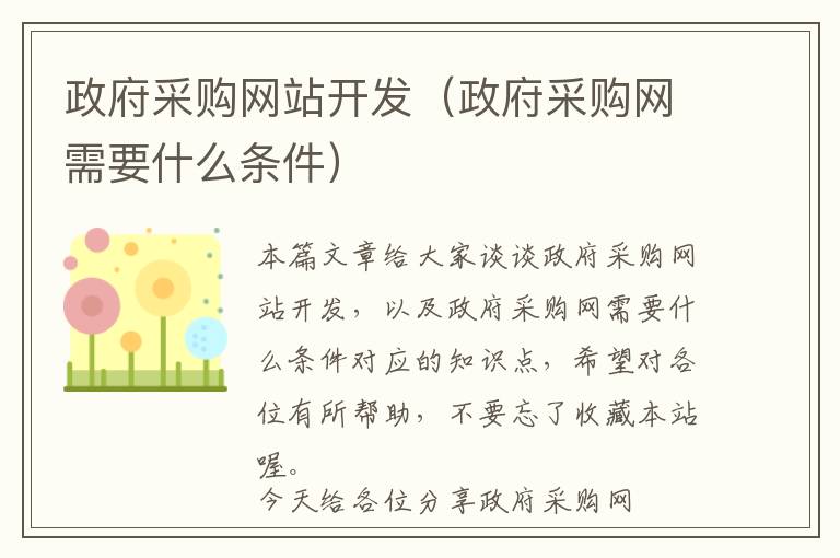 政府采购网站开发(政府采购网需要什么条件)