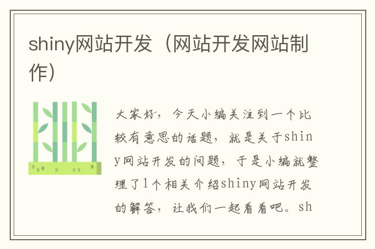 shiny网站开发(网站开发网站制作)