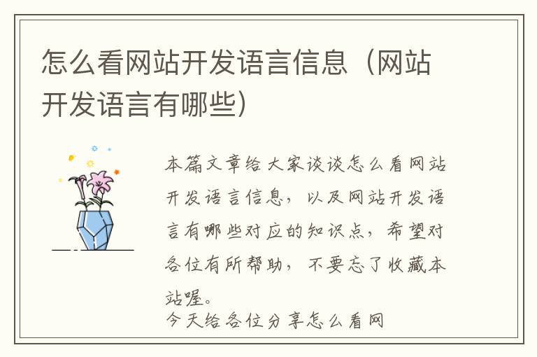 怎么看网站开发语言信息(网站开发语言有哪些)