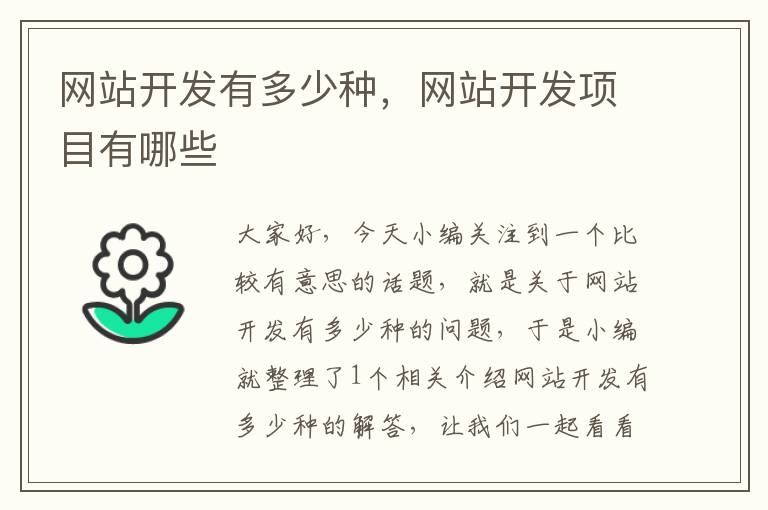网站开发有多少种,网站开发项目有哪些