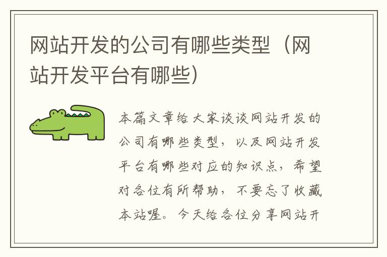 网站开发的公司有哪些类型(网站开发平台有哪些)