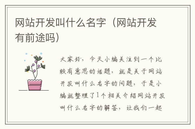 网站开发叫什么名字(网站开发有前途吗)