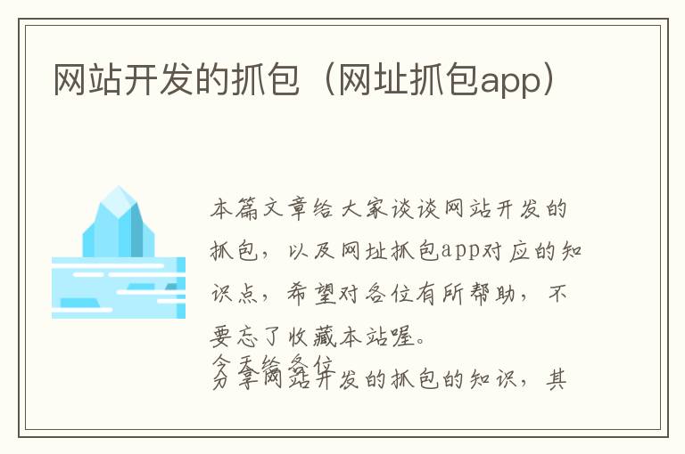 网站开发的抓包(网址抓包app)