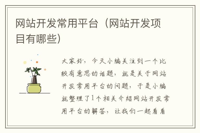 网站开发常用平台(网站开发项目有哪些)