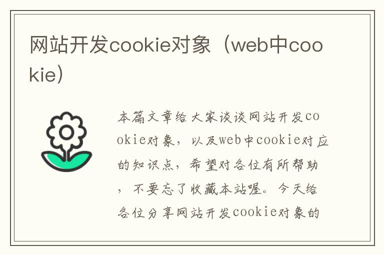 网站开发cookie对象(web中cookie)
