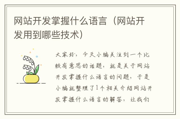 网站开发掌握什么语言(网站开发用到哪些技术)