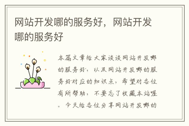网站开发哪的服务好,网站开发哪的服务好