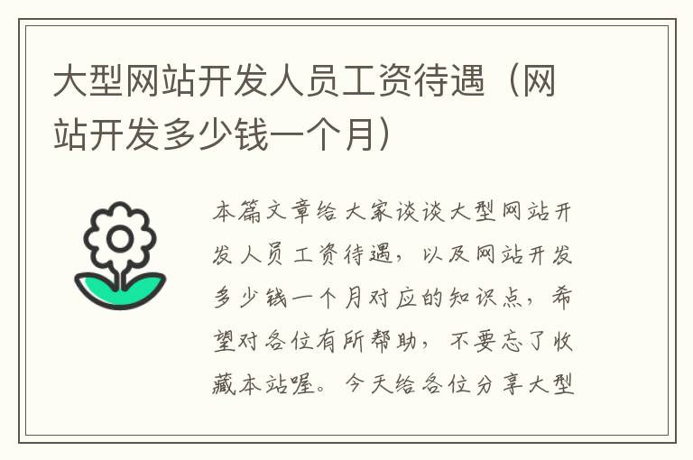 大型网站开发人员工资待遇(网站开发多少钱一个月)