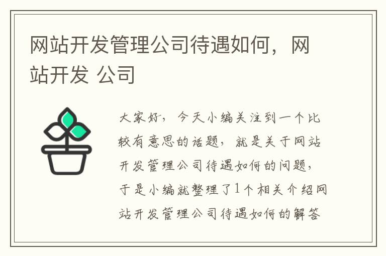 网站开发管理公司待遇如何,网站开发 公司