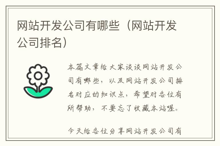 网站开发公司有哪些(网站开发公司排名)