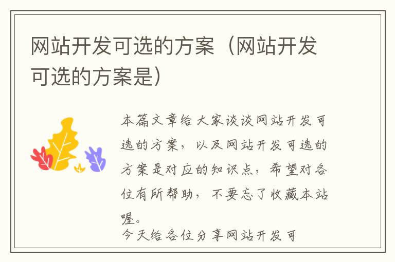网站开发可选的方案(网站开发可选的方案是)