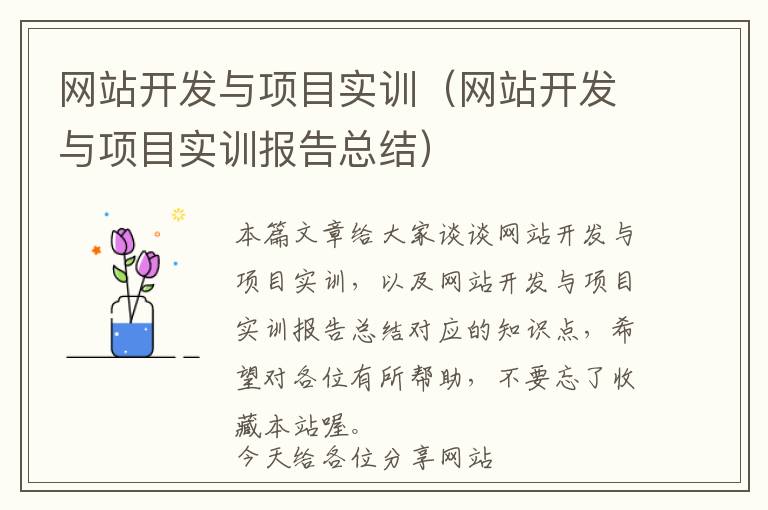网站开发与项目实训(网站开发与项目实训报告总结)