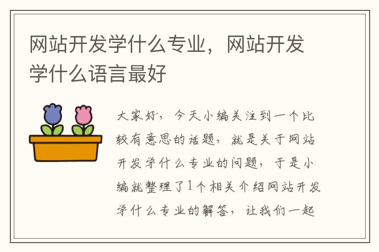 网站开发学什么专业,网站开发学什么语言最好