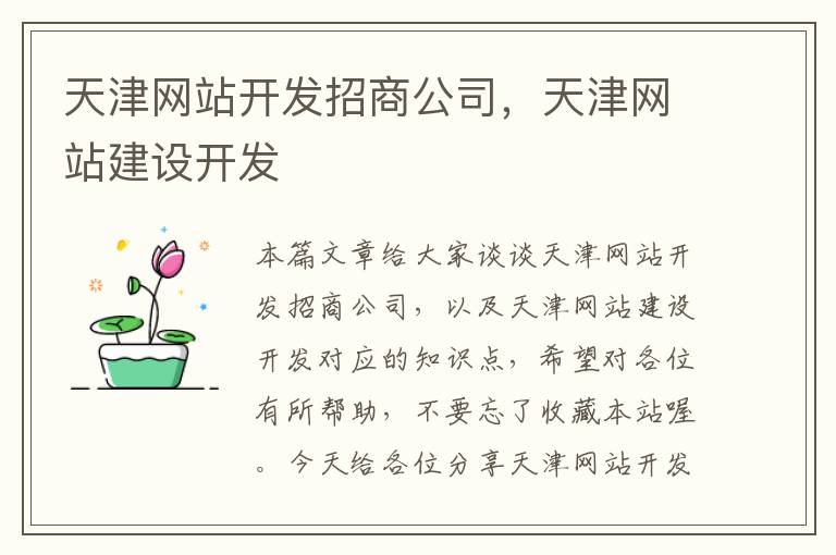 天津网站开发招商公司,天津网站建设开发