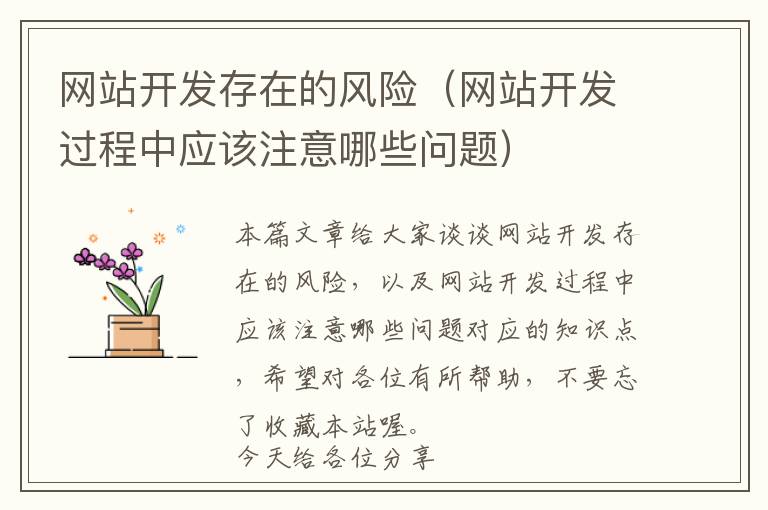 网站开发存在的风险(网站开发过程中应该注意哪些问题)