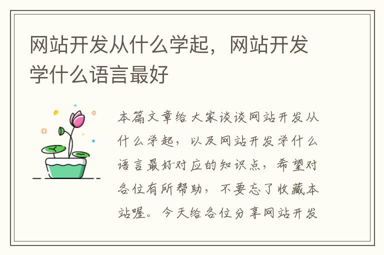 网站开发从什么学起,网站开发学什么语言最好