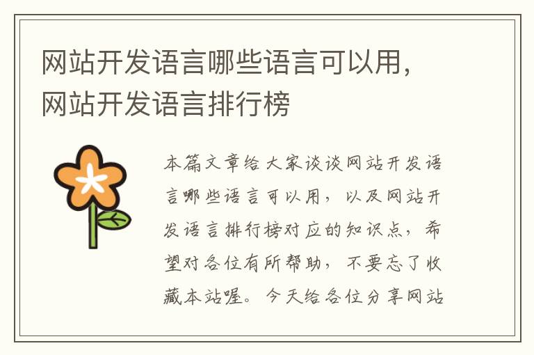 网站开发语言哪些语言可以用,网站开发语言排行榜