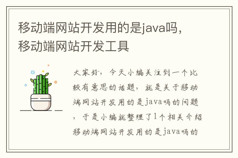 移动端网站开发用的是java吗,移动端网站开发工具
