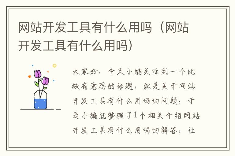 网站开发工具有什么用吗(网站开发工具有什么用吗)