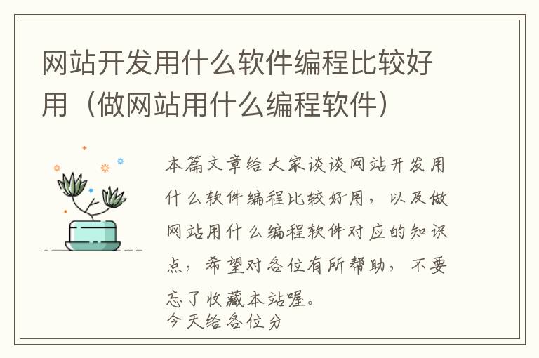 网站开发用什么软件编程比较好用(做网站用什么编程软件)