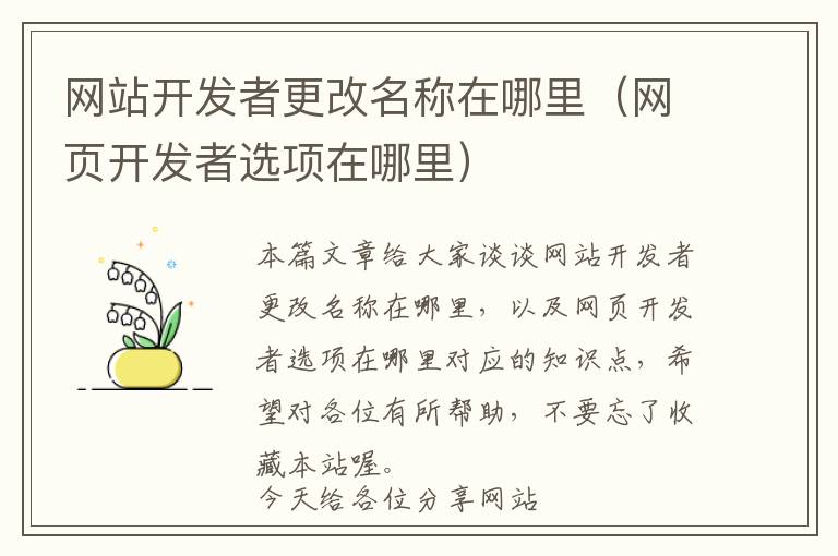 网站开发者更改名称在哪里(网页开发者选项在哪里)