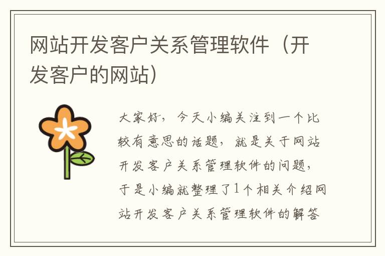 网站开发客户关系管理软件(开发客户的网站)