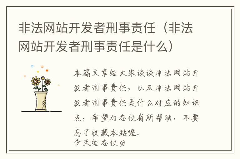 非法网站开发者刑事责任(非法网站开发者刑事责任是什么)