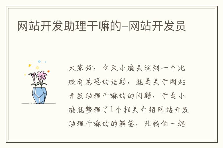 网站开发助理干嘛的-网站开发员