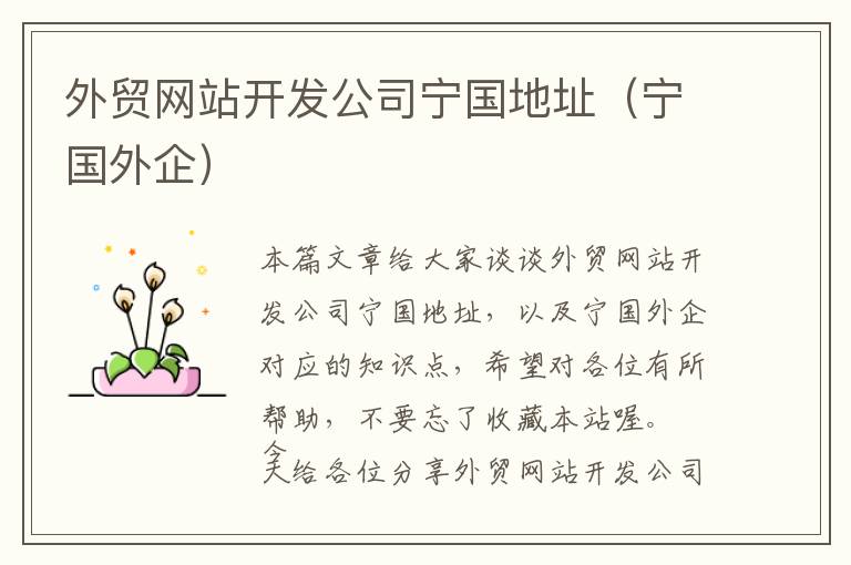 外贸网站开发公司宁国地址(宁国外企)