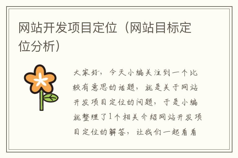网站开发项目定位(网站目标定位分析)