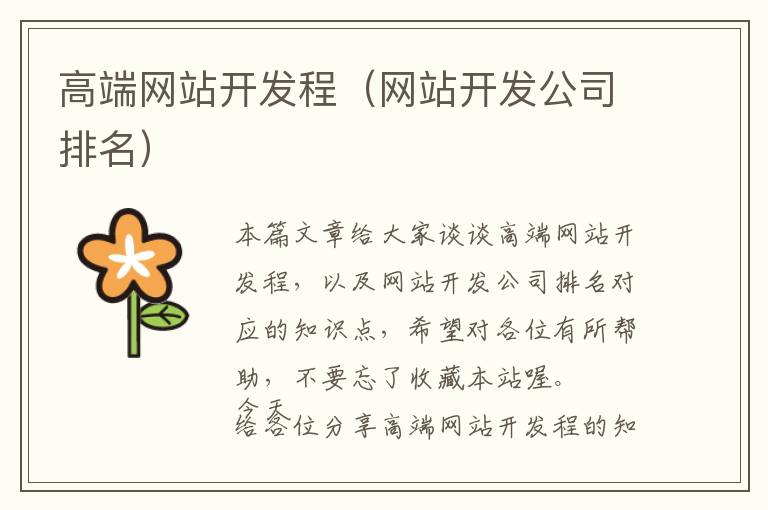 高端网站开发程(网站开发公司排名)