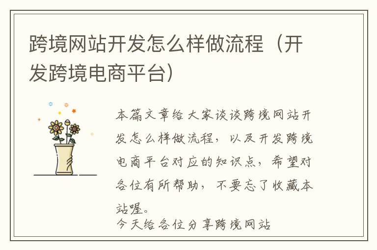 跨境网站开发怎么样做流程(开发跨境电商平台)