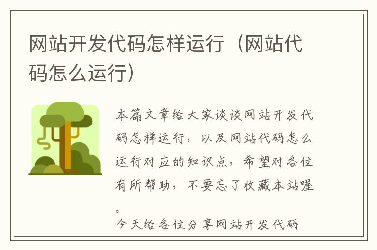 网站开发代码怎样运行(网站代码怎么运行)