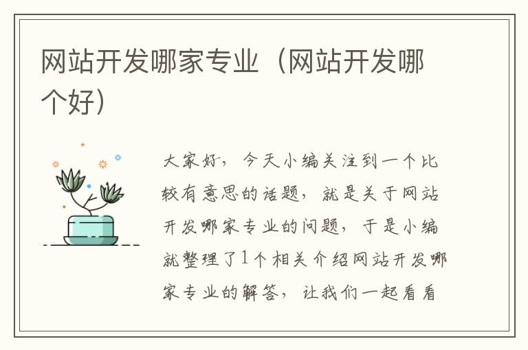 网站开发哪家专业(网站开发哪个好)