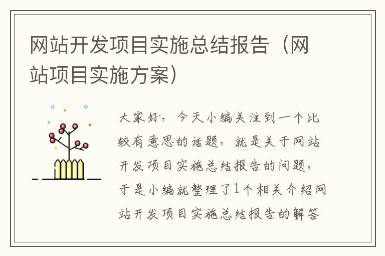 网站开发项目实施总结报告(网站项目实施方案)