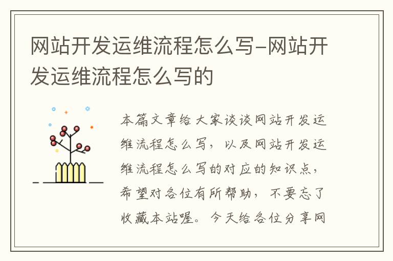 网站开发运维流程怎么写-网站开发运维流程怎么写的