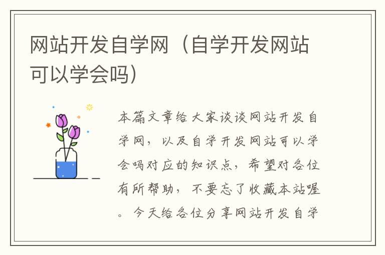 网站开发自学网(自学开发网站可以学会吗)