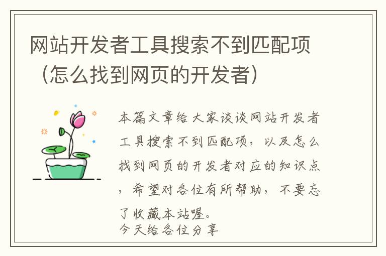 网站开发者工具搜索不到匹配项(怎么找到网页的开发者)