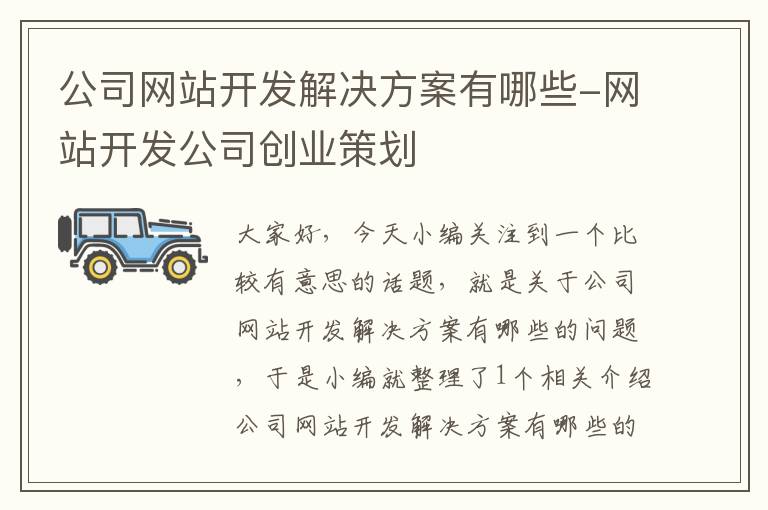 公司网站开发解决方案有哪些-网站开发公司创业策划
