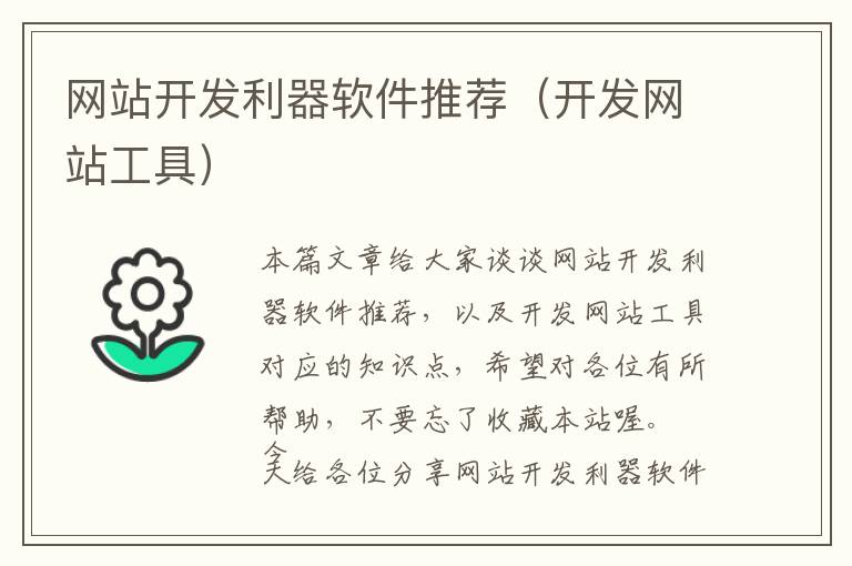 网站开发利器软件推荐(开发网站工具)